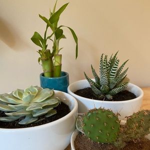 Meet your Posher, Maddie